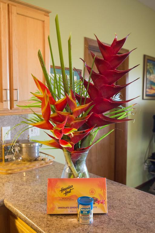 Aloha Aku Inn & Suites Kihei Værelse billede
